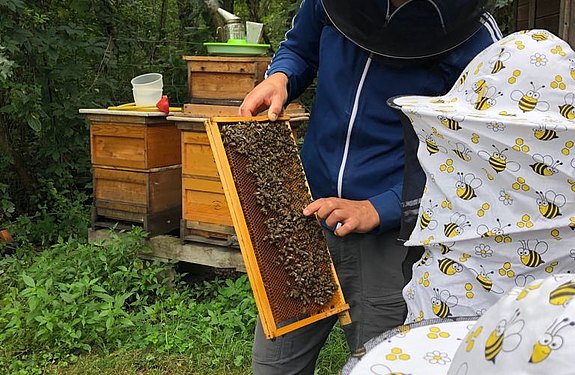 Ferienspiel 2021 - Alles rund um die Biene